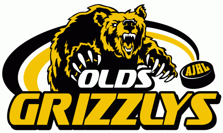 Olds Grizzlys 2001-Pres Primary Logo iron on transfers for T-shirts